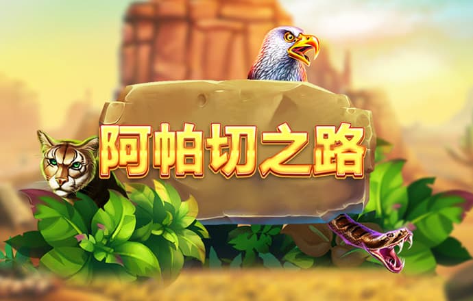 篮球高手